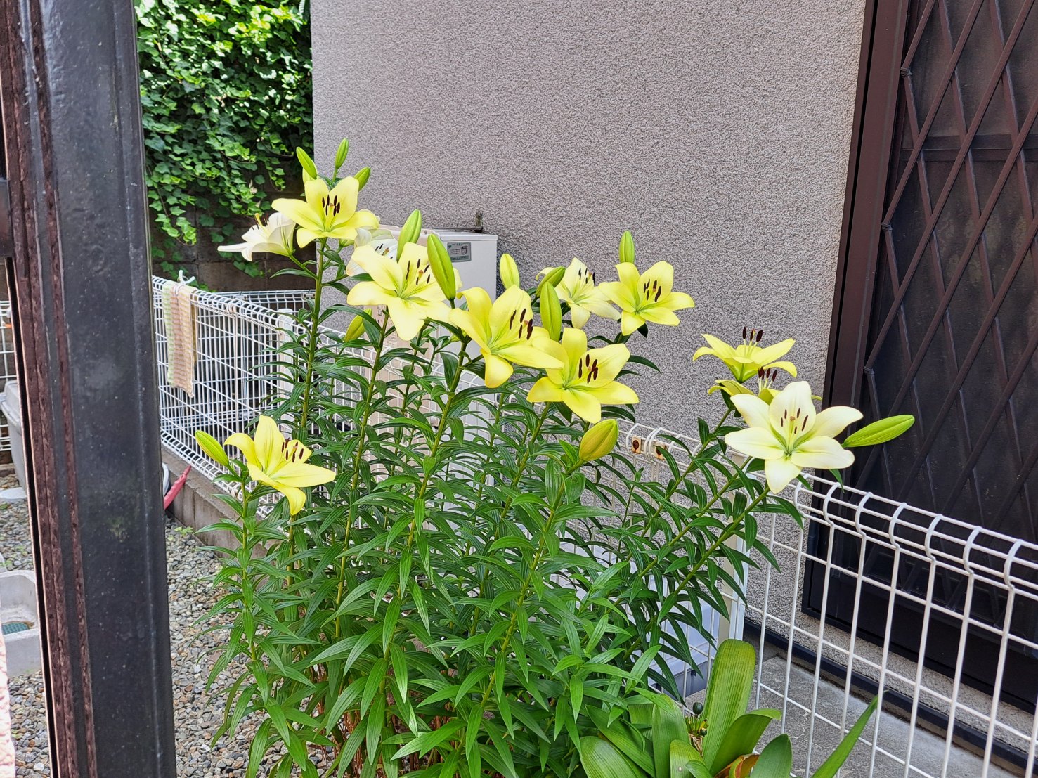 ブログ