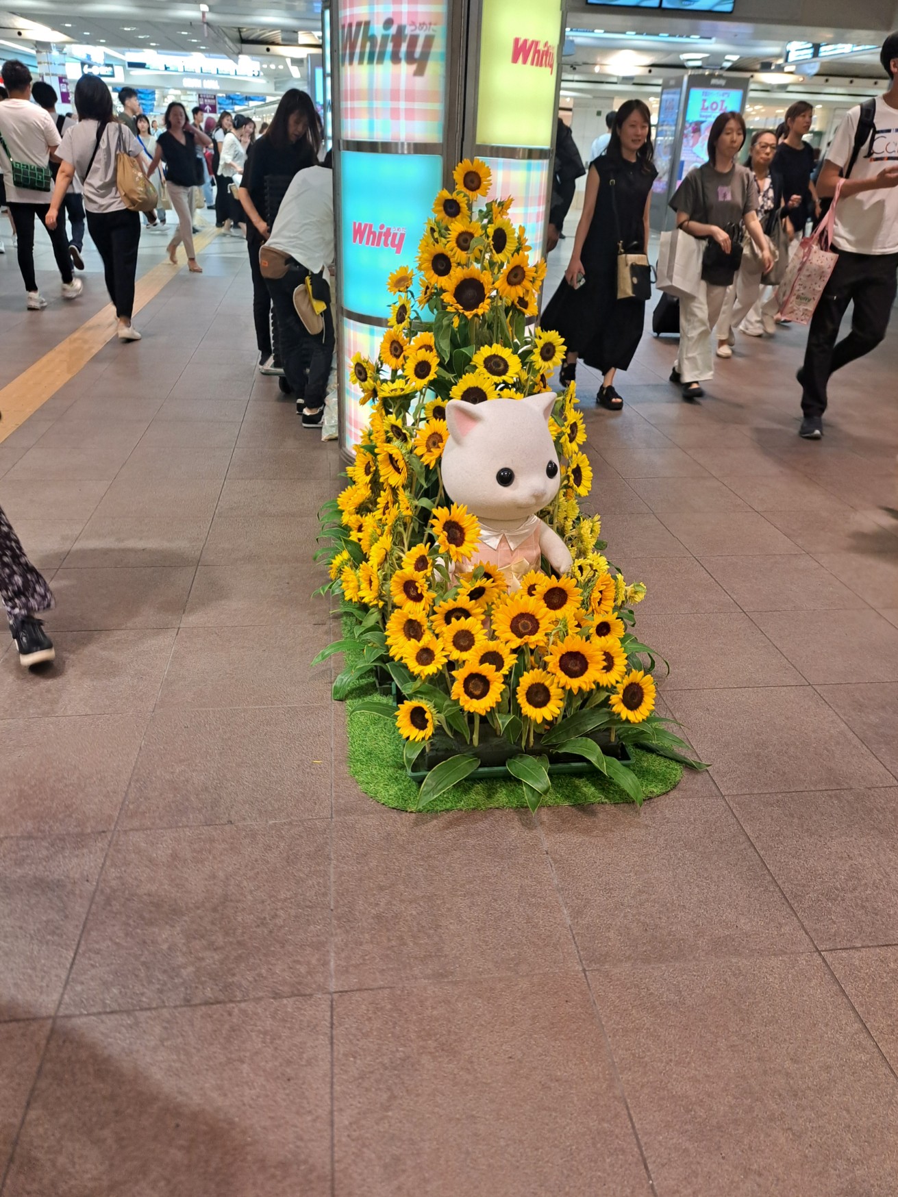 ブログ